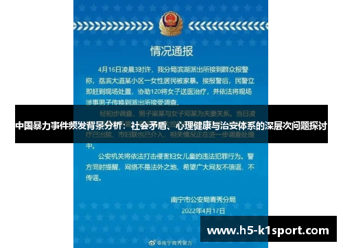 中国暴力事件频发背景分析：社会矛盾、心理健康与治安体系的深层次问题探讨